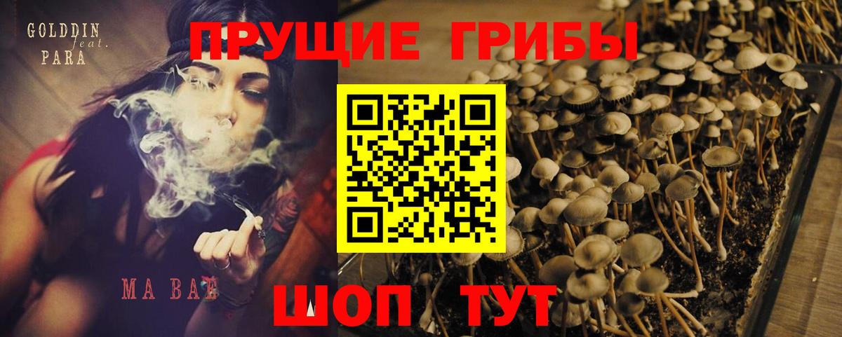Псилоцибиновые грибы прущие грибы  Вход с VPN  Новозыбков 